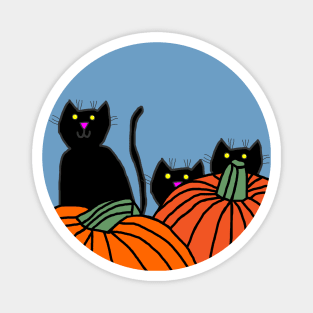Three Black Cats and Pumpkins Magnet